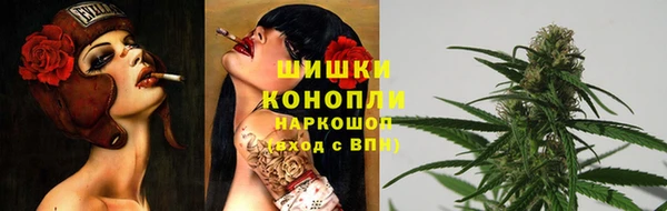 ГАЛЛЮЦИНОГЕННЫЕ ГРИБЫ Балахна