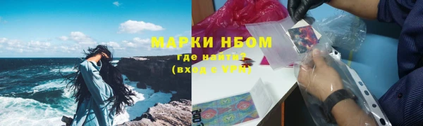 прущие грибы Баксан