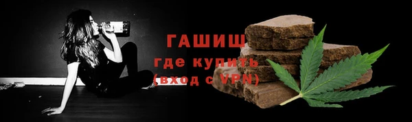 шишки Гусев