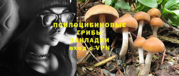 ГАЛЛЮЦИНОГЕННЫЕ ГРИБЫ Балахна