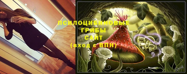 прущие грибы Баксан