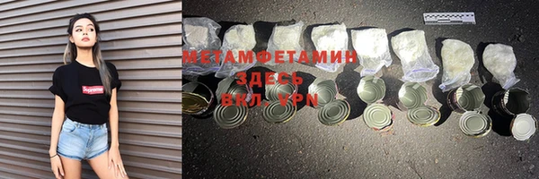 шишки Гусев
