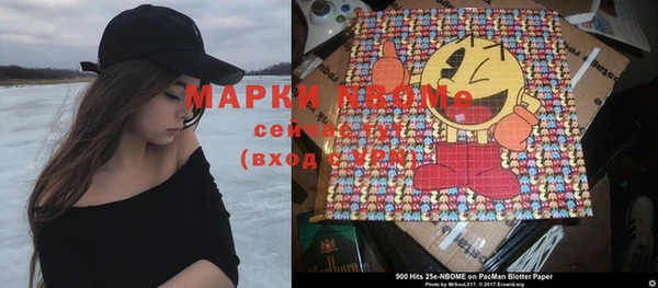 хмурый Аркадак