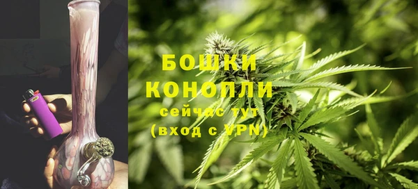 прущие грибы Баксан