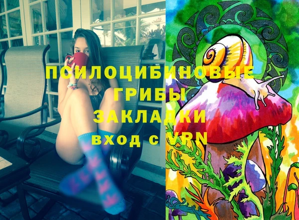 ГАЛЛЮЦИНОГЕННЫЕ ГРИБЫ Балахна