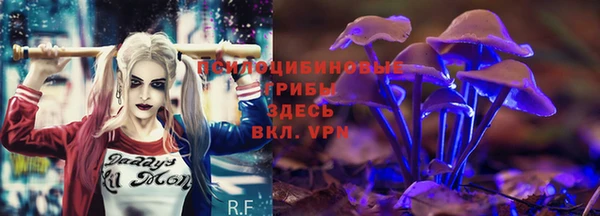 ГАЛЛЮЦИНОГЕННЫЕ ГРИБЫ Балахна
