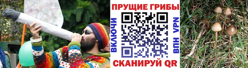 Псилоцибиновые грибы Magic Shrooms  сколько стоит  Серов 
